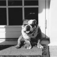 onslow