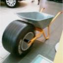 Rold F1