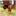anton_loev