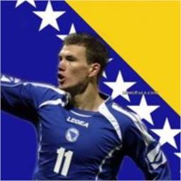 Dragon of Bosnia