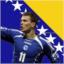 Dragon of Bosnia
