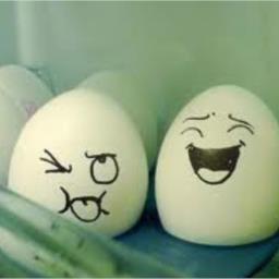 Egge500