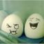Egge500
