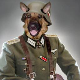 Germandog