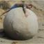 Jacob_Boutrup
