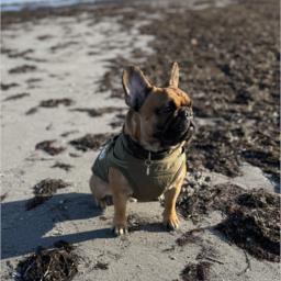 Kludemester