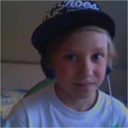 Lakers fan