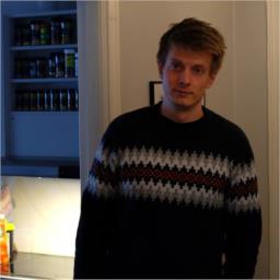 lundga