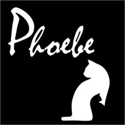 Phoebe Team