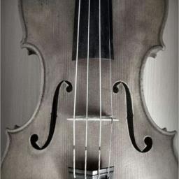 Violinisten